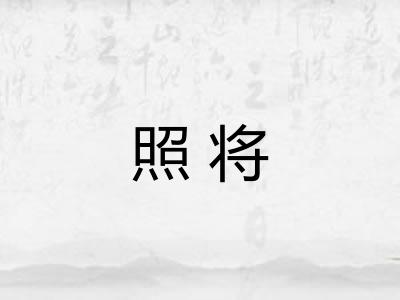 照将