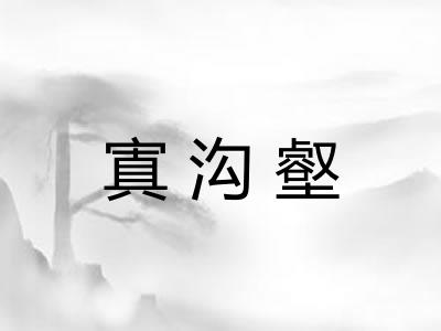 寘沟壑