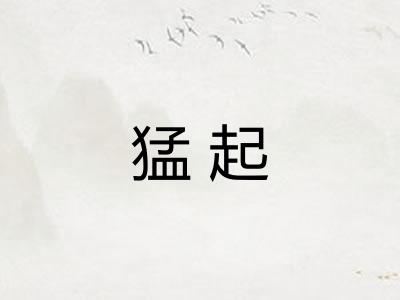 猛起