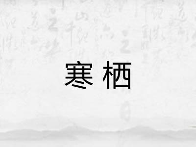 寒栖