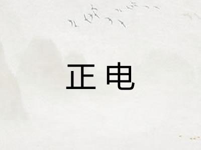 正电