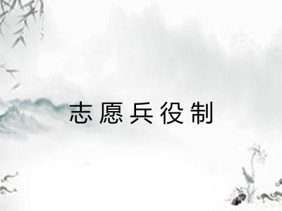志愿兵役制