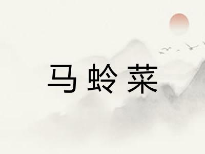 马蛉菜