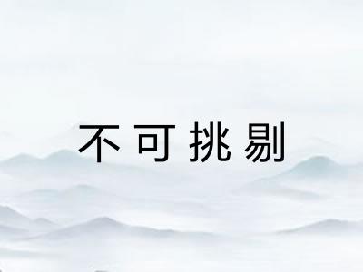不可挑剔