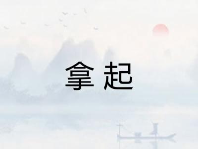 拿起