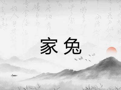家兔