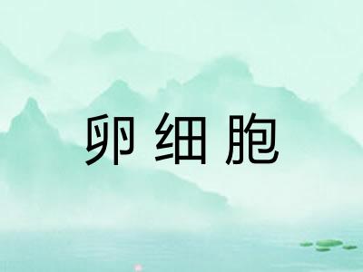 卵细胞