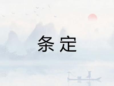 条定