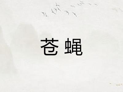 苍蝇