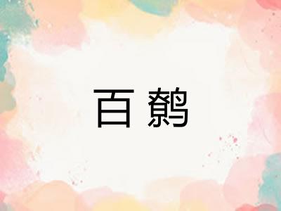 百鹩