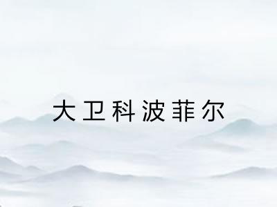 大卫科波菲尔