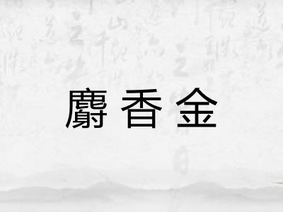 麝香金