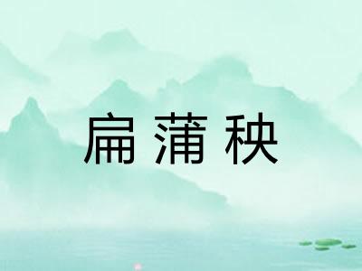 扁蒲秧