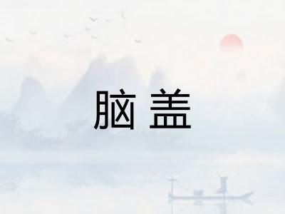 脑盖
