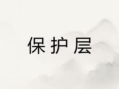 保护层