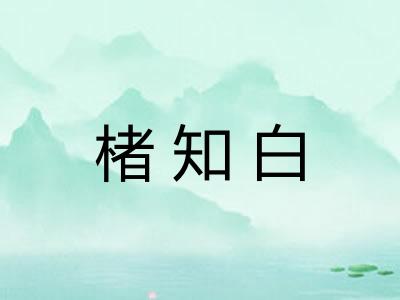 楮知白