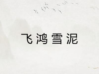 飞鸿雪泥