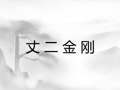 丈二金刚