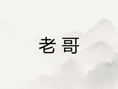 老哥