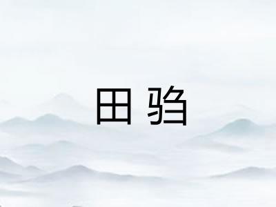 田驺