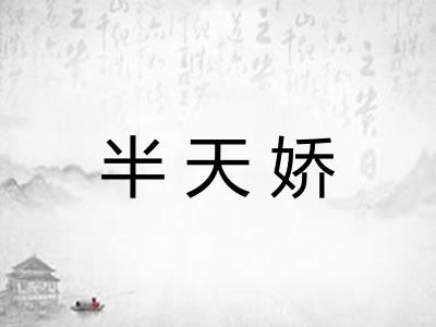 半天娇