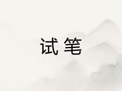 试笔