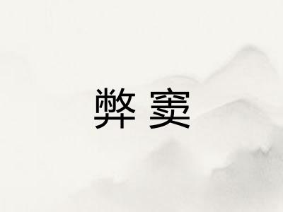 弊窦