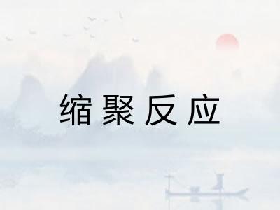 缩聚反应