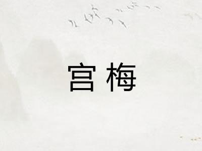 宫梅