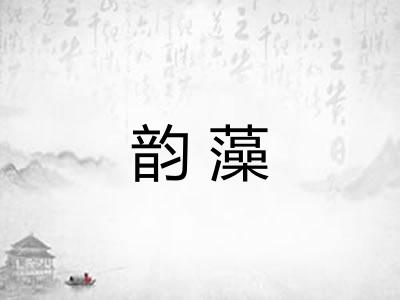 韵藻