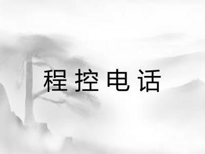 程控电话
