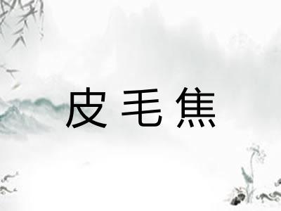 皮毛焦