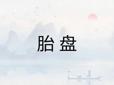 胎盘