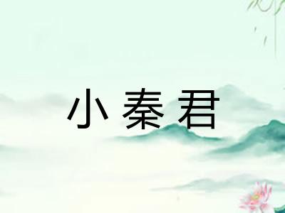 小秦君
