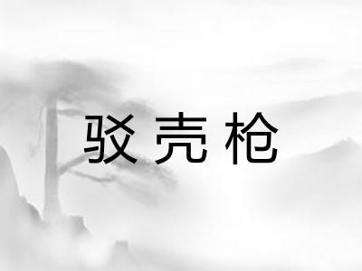驳壳枪