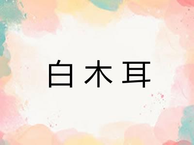 白木耳