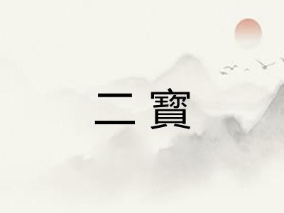 二寳