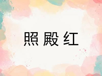 照殿红