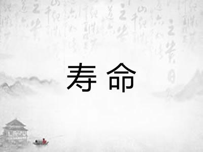 寿命