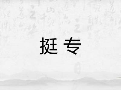 挺专