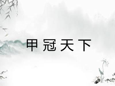 甲冠天下