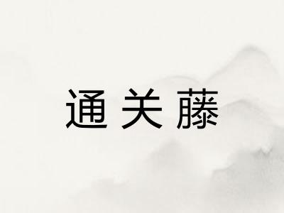 通关藤