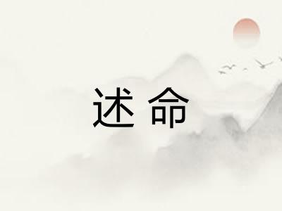 述命