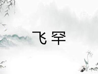 飞罕