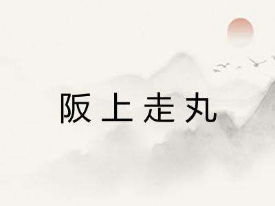 阪上走丸