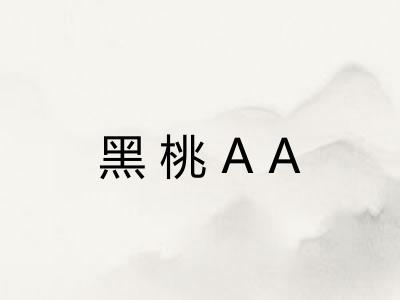 黑桃AA