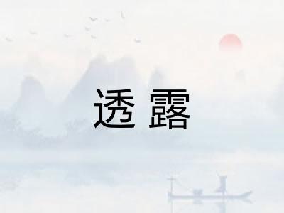 透露
