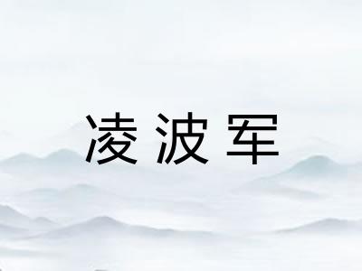 凌波军