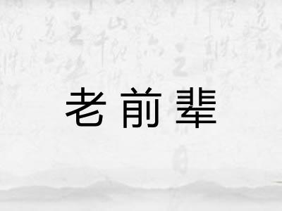 老前辈