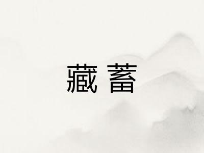 藏蓄